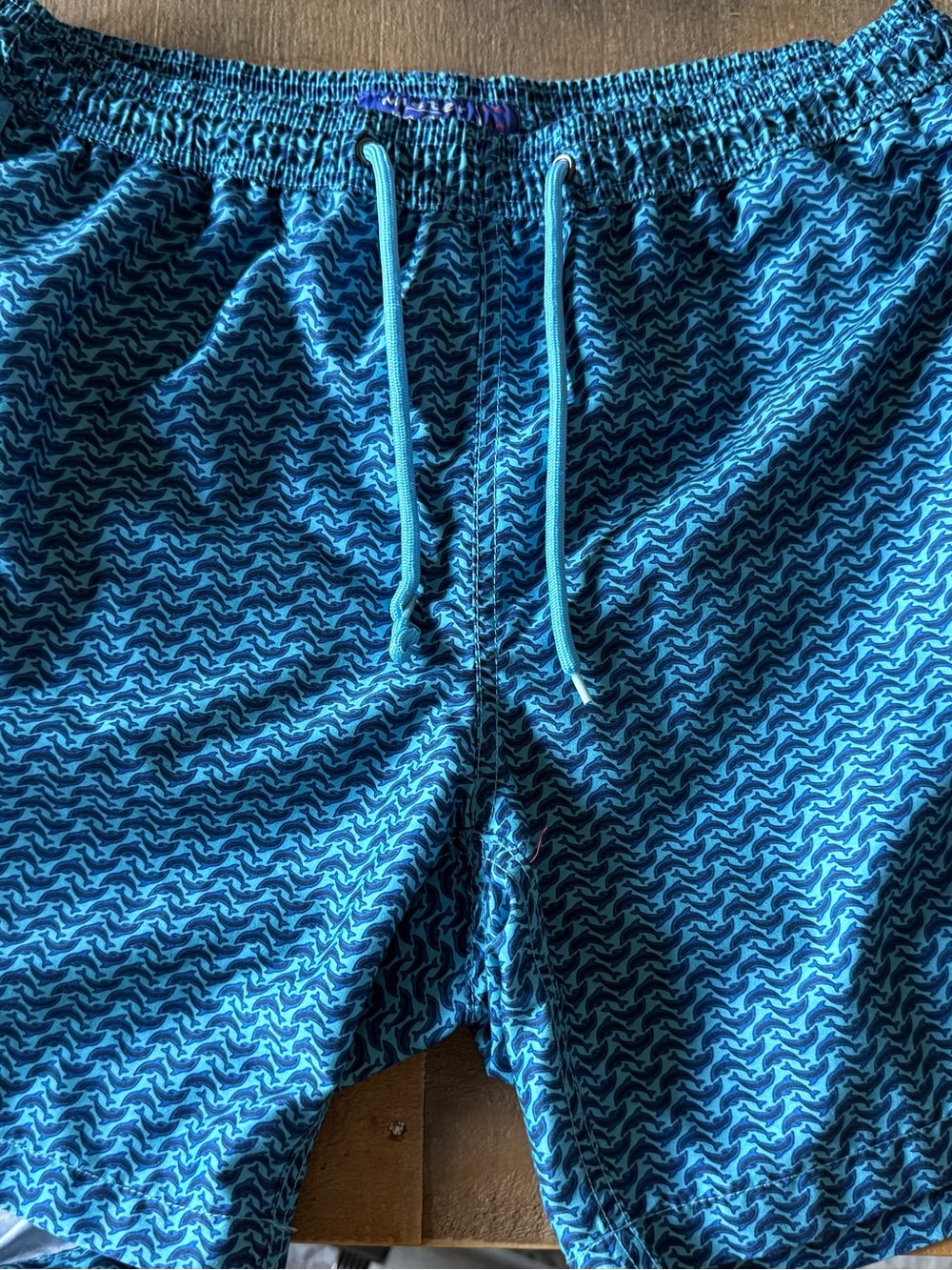 Mr.Swim Blue Patterned Swim Trunks with Drawstring